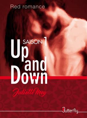 Cover of the book Up and Down by Juliette Mey