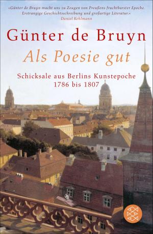 Cover of the book Als Poesie gut by Ulrich Peltzer