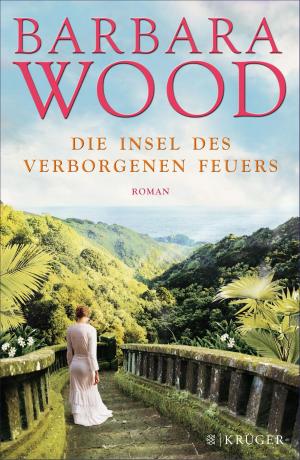 Cover of the book Die Insel des verborgenen Feuers by Klaus-Peter Wolf