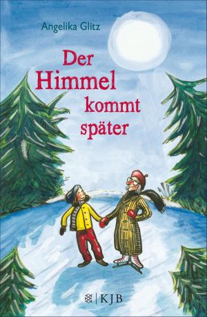 Cover of the book Der Himmel kommt später by Silke Scheuermann
