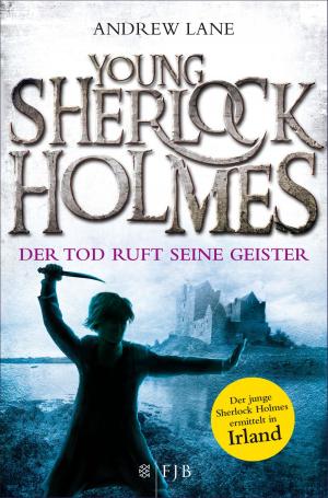 Cover of the book Young Sherlock Holmes by Jörg Maurer
