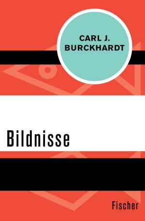 Cover of the book Bildnisse by Dirk Blasius