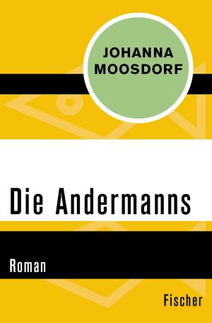 Cover of the book Die Andermanns by Reinhard Rürup
