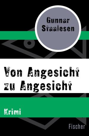 Cover of the book Von Angesicht zu Angesicht by Max Rychner, Carl J. Burckhardt