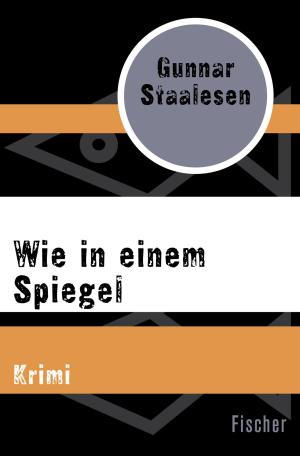 Cover of the book Wie in einem Spiegel by Jaroslav Hašek