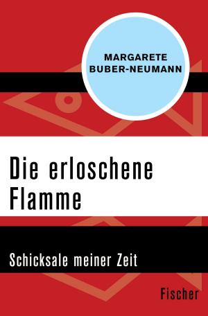 Cover of the book Die erloschene Flamme by Prof. Dr. Inge Strauch