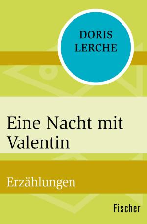 Cover of the book Eine Nacht mit Valentin by Luise Rinser
