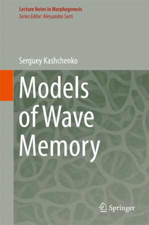 Cover of the book Models of Wave Memory by Sitangshu Bhattacharya, Kamakhya P. Ghatak