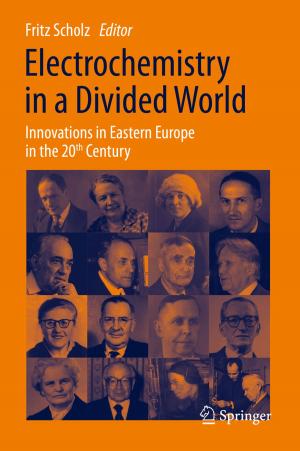 Cover of the book Electrochemistry in a Divided World by Étienne Pardoux