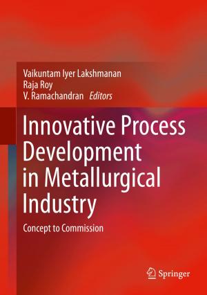 Cover of the book Innovative Process Development in Metallurgical Industry by Reynaldo Yunuen Ortega Ortiz