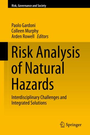 Cover of the book Risk Analysis of Natural Hazards by Daniela Eberhardt, Anna-Lena Majkovic