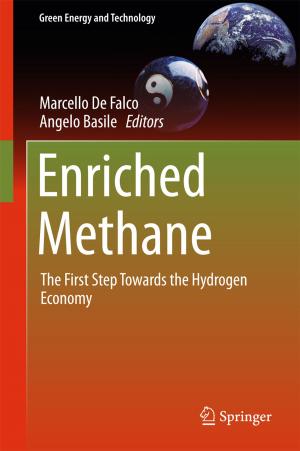 Cover of the book Enriched Methane by Patricia Egede