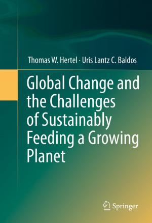 Cover of the book Global Change and the Challenges of Sustainably Feeding a Growing Planet by Omid Ardakanian, S. Keshav, Catherine Rosenberg