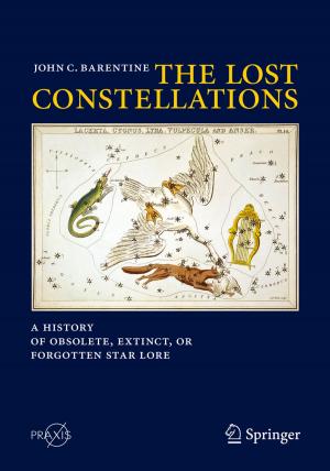 bigCover of the book The Lost Constellations by 