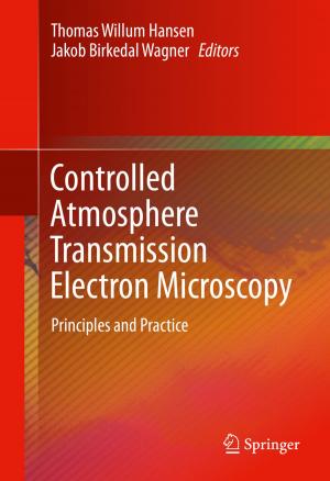 bigCover of the book Controlled Atmosphere Transmission Electron Microscopy by 