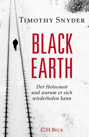 Cover of the book Black Earth by Werner Plumpe
