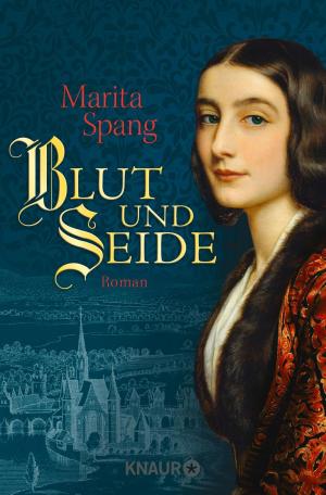 Cover of the book Blut und Seide by Caren Benedikt