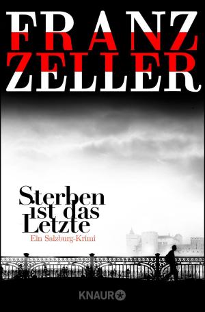 Cover of the book Sterben ist das Letzte by Gabriella Engelmann