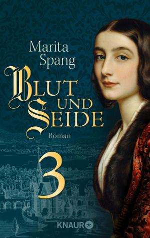 Cover of the book Blut und Seide by Thomas Thiemeyer