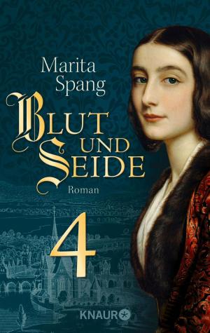 Cover of the book Blut und Seide by Markus Heitz