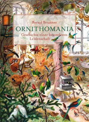 Cover of the book Ornithomania by John Banville