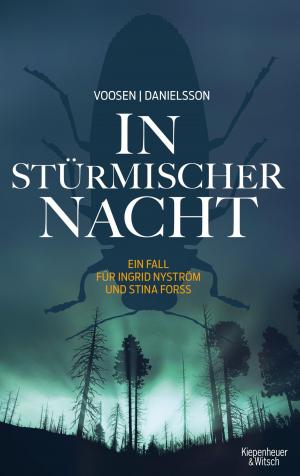 Cover of the book In stürmischer Nacht by Thomas Hettche