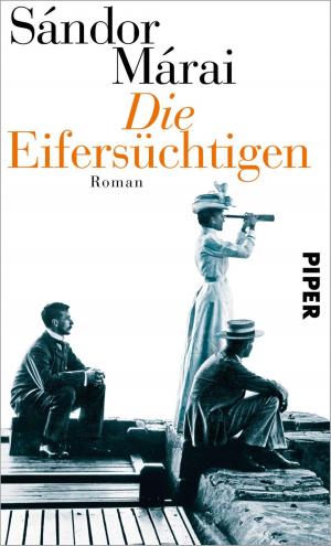 Cover of the book Die Eifersüchtigen by Sandra Limoncini