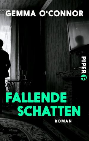 Cover of the book Fallende Schatten by Sandrone Dazieri