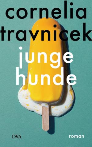 Cover of the book Junge Hunde by Thomas Schulz
