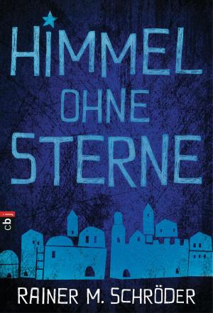 Cover of the book Himmel ohne Sterne by Frauke Nahrgang