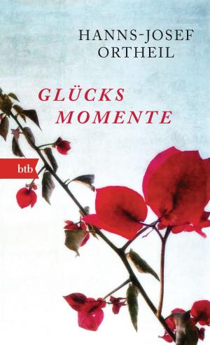 Cover of the book Glücksmomente by Juli Zeh