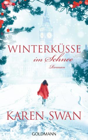 Cover of the book Winterküsse im Schnee by Bill Bryson