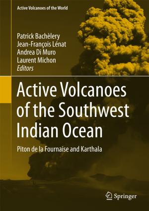 Cover of the book Active Volcanoes of the Southwest Indian Ocean by P. Kaufmann, M. Davidoff