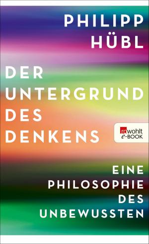 Cover of the book Der Untergrund des Denkens by Jan-Uwe Rogge