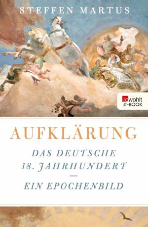 Cover of the book Aufklärung by Friedrich Christian Delius