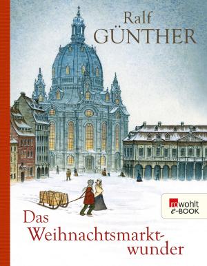 Cover of the book Das Weihnachtsmarktwunder by Mona Hanke