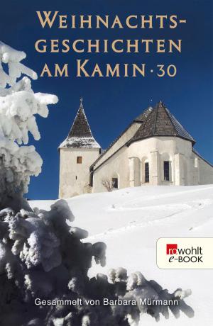 Book cover of Weihnachtsgeschichten am Kamin 30