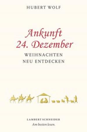 Cover of the book Ankunft 24. Dezember by Karin Kress, Jost Schneider, Benedikt Jeßing
