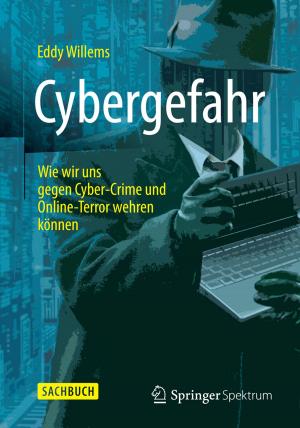 Cover of the book Cybergefahr by Stephan Schnorr