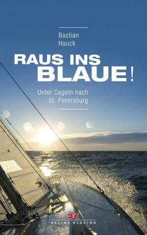 Cover of the book Raus ins Blaue! by Jochen Donner, Daniel Simon