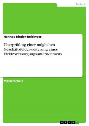 Cover of the book Überprüfung einer möglichen Geschäftsfelderweiterung eines Elektroversorgungsunternehmens by Sandra Friedemann
