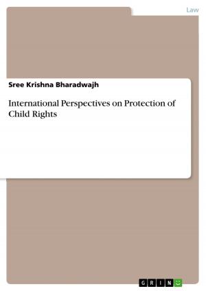 Cover of the book International Perspectives on Protection of Child Rights by Andreas Lorek, Antonia Havadi-Nagy, Bettina Schulte, Carine Fernandez, Virginie Gauthier, Denis Couv
