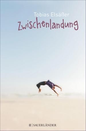 Cover of the book Zwischenlandung by Liz Kessler