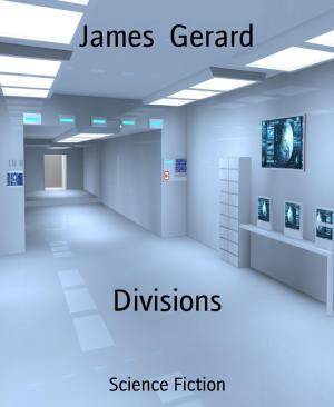 Cover of the book Divisions by Chantelle Atkins