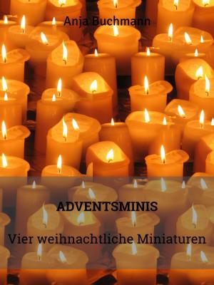 Cover of the book Adventsminis by Martin Schnurrenberger