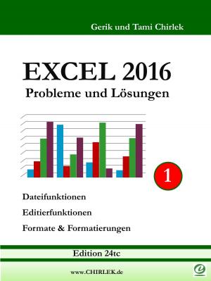 Cover of the book Excel 2016 . Probleme und Lösungen . Band 1 by Hermann de Witt