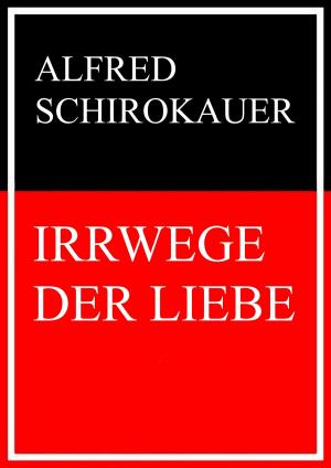 Book cover of Irrwege der Liebe
