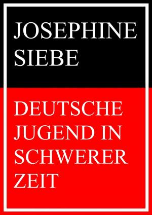 Book cover of Deutsche Jugend in schwerer Zeit