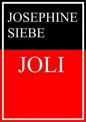 Cover of the book Joli by Detlef Rathmer