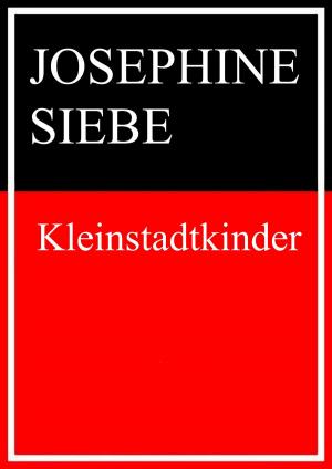 Cover of the book Kleinstadtkinder by Ewald Gronewold